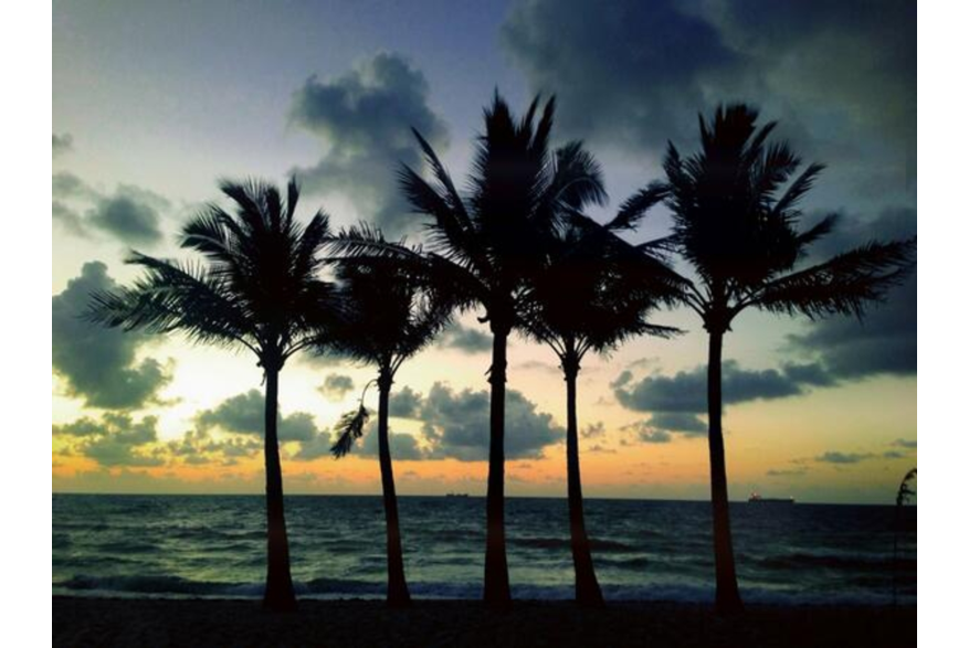 Twitter photo posted on 08/18/13