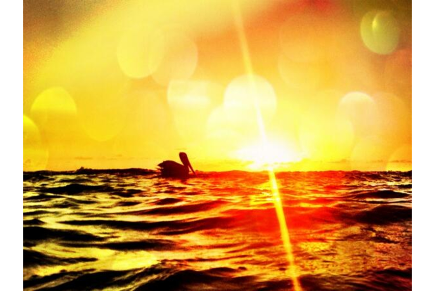 Twitter photo posted on 08/14/13