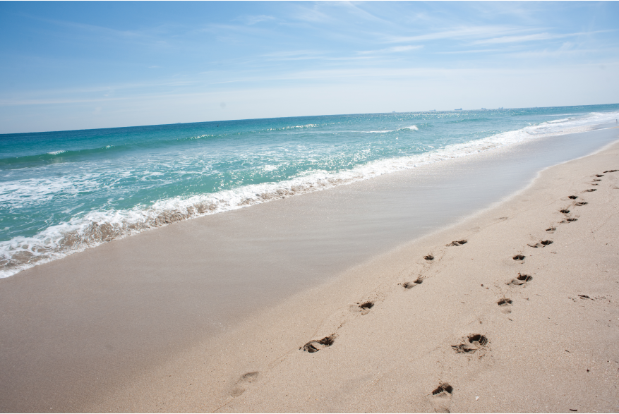 Footprints in the sand
