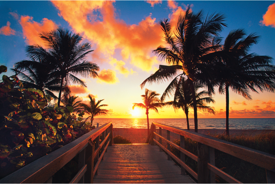 Pier with palm trees at sunset