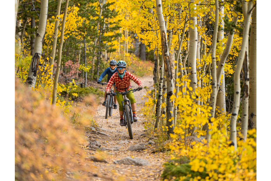 Mountain Bike Golden Trails in Fall