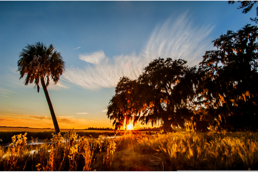 Sunset Over the Marsh