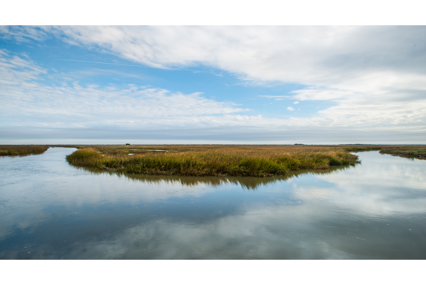 Salt Marshes over Little St. Simons Island
