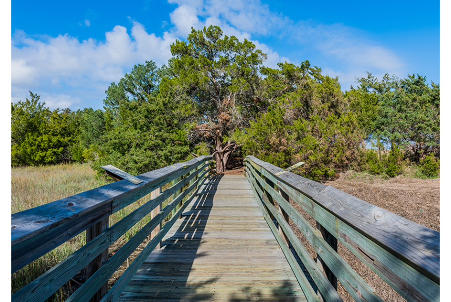 Earth Day Nature Trail in Golden Isles