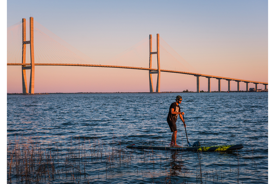 Sidney Lanier Bridge