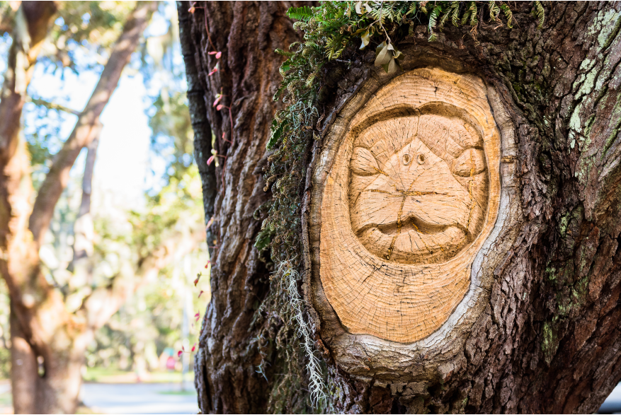 The face of a turtle is etched into an oak tree as part of the St. Simons Island Tree Spirits
