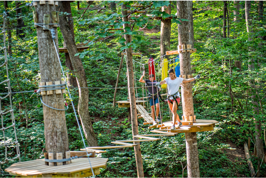 Two people navigate treetops at Treetop Quest Gwinnett, surrounded by green foliage and wooden platforms.
