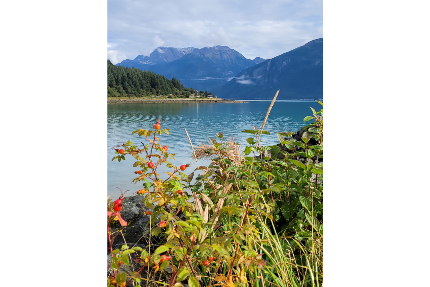 Haines in late summer/early fall