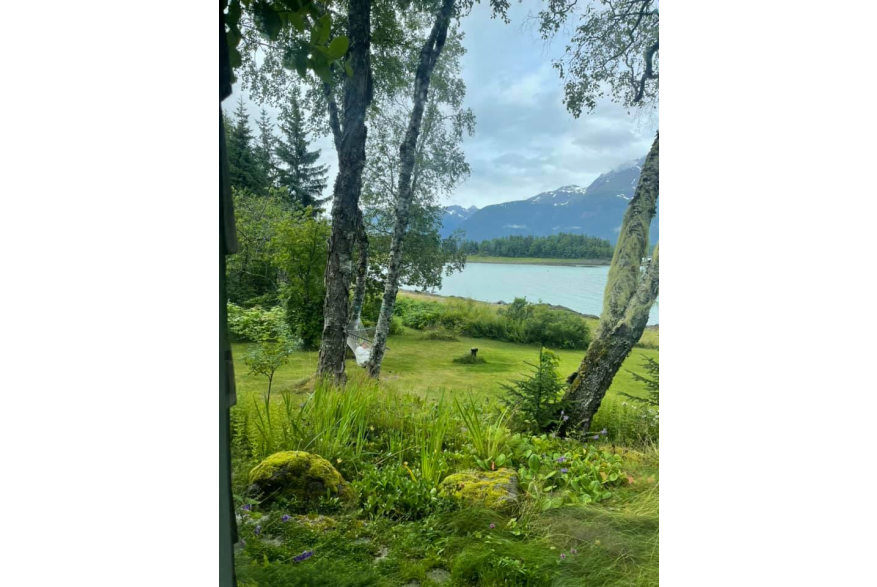 Views everywhere