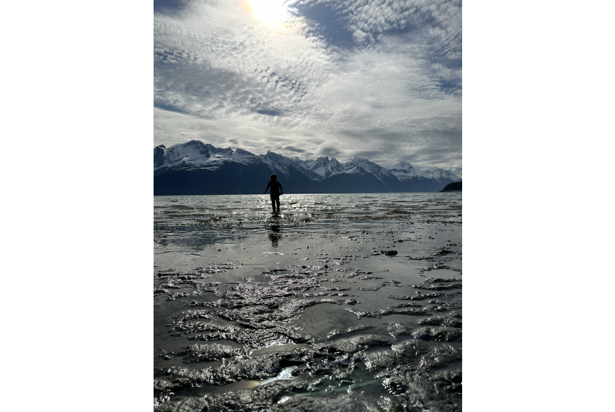 Low tide walks