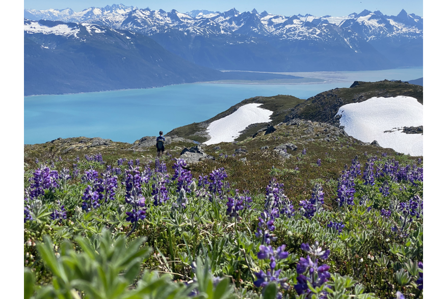 Near the Ripinsky summit