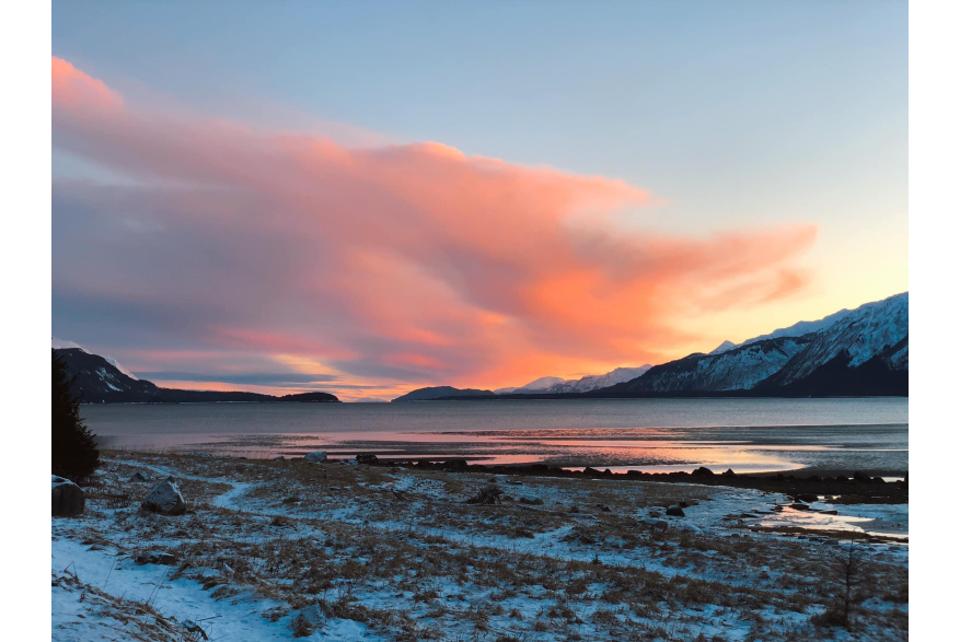 Beautiful winter