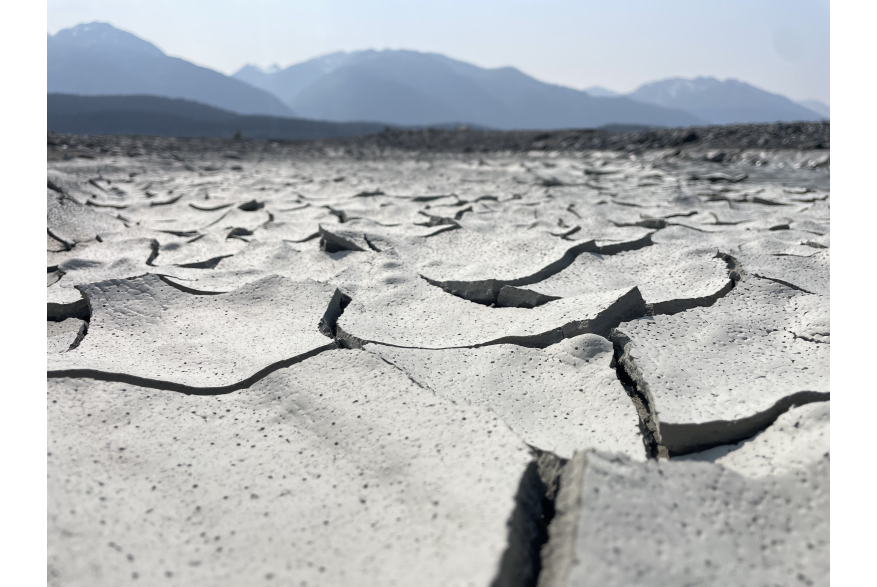 Tsirku Scales. mud flats