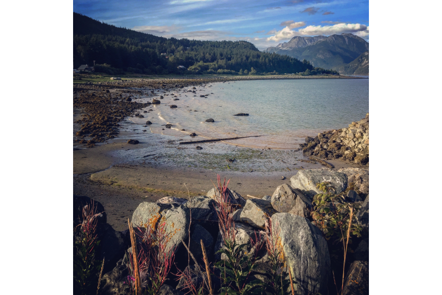 low tide Haines Alaska
