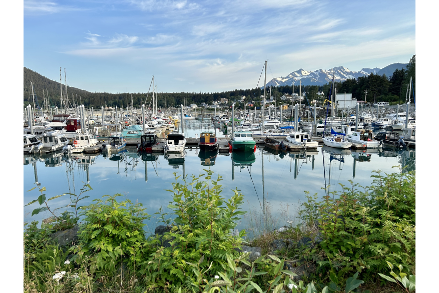 The boat harbour in Haines