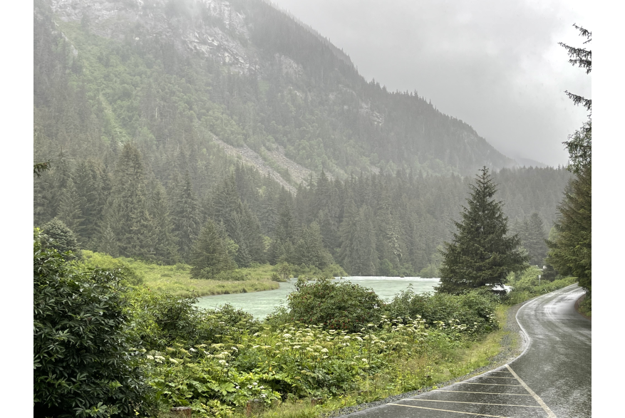 Looking back at Chillkoot Rive