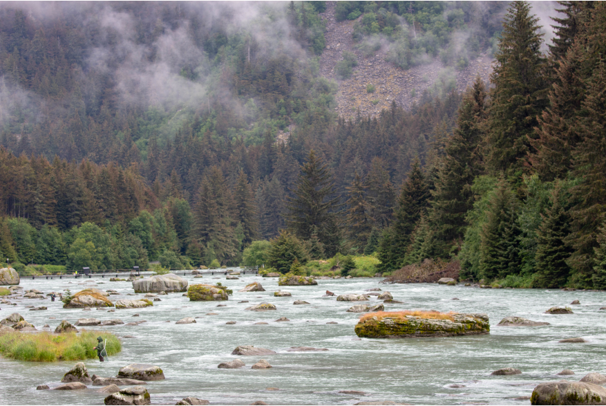 Chilkoot River