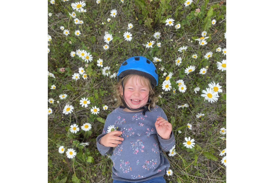 Wildflowers