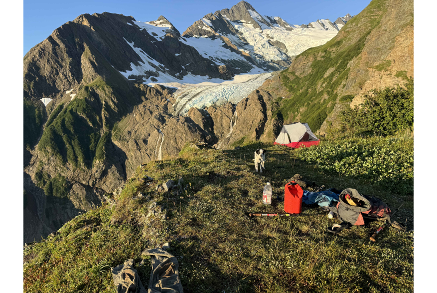 Adventure pup in training, camping on the ridgeline