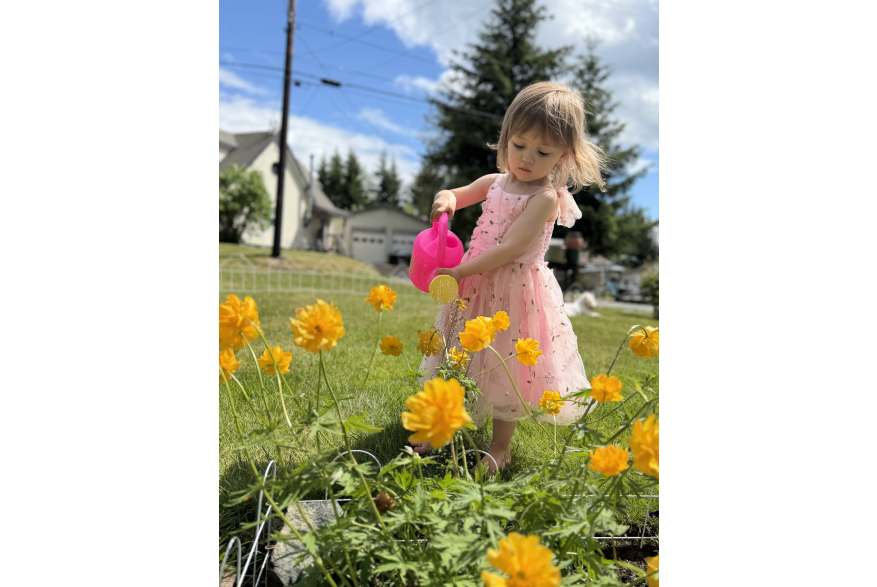little girl in pink dress watering yellow flowers