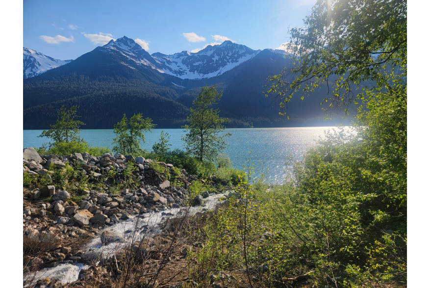 Chilkoot Lake taken from creek below Goat Falls