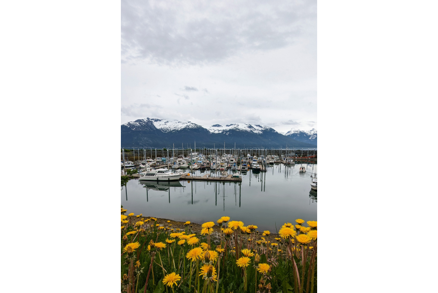 Haines Harbor looking bright even on cloudy days
