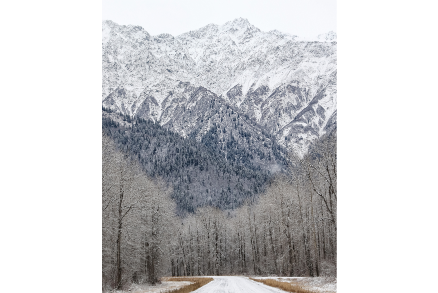 Haines Highway, approximately mile 24 heading south