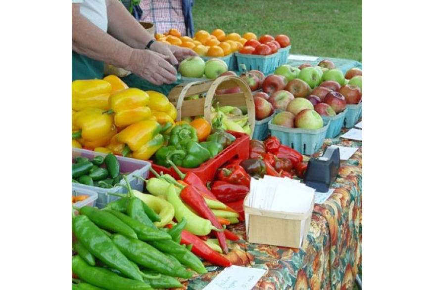 Fruit & Vegetables