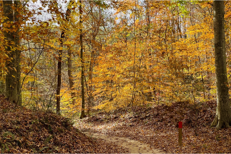 Fall Trail/ Park