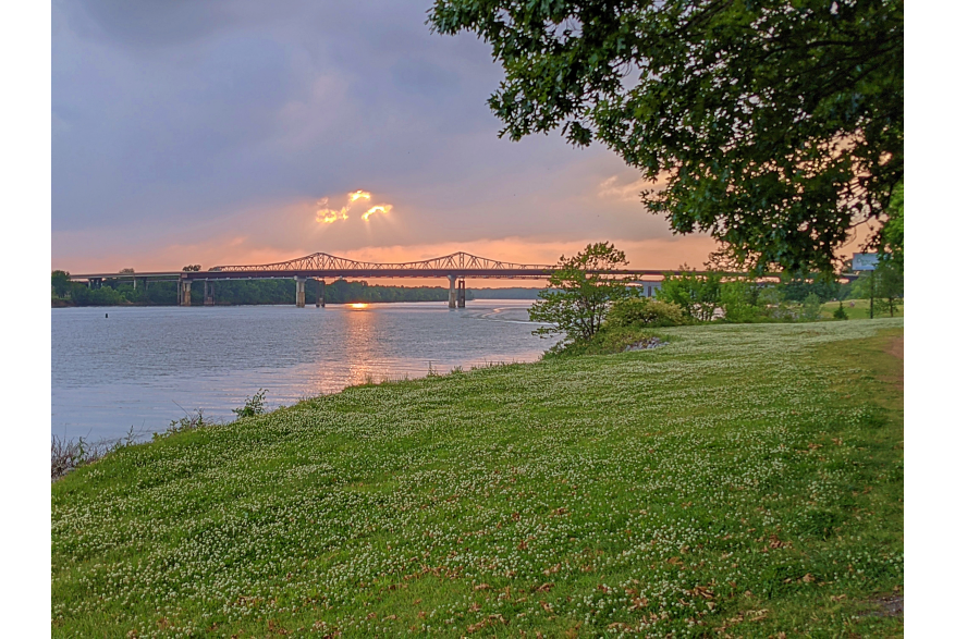 Ditto Landing Bridge by Jenn Coleman of Coleman Concierge
