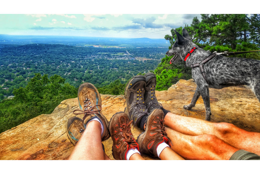 Land Trust of North Alabama