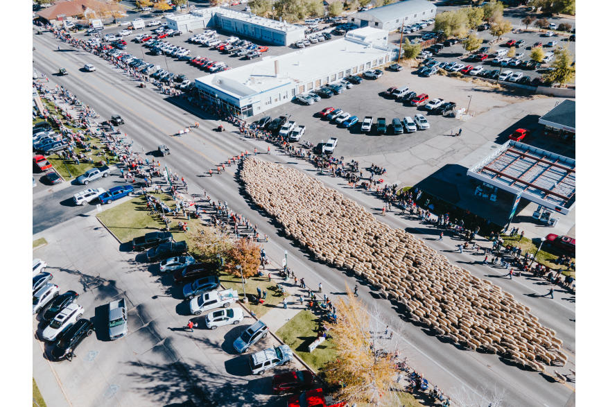 Cedar City Livestock + Heritage Festival - October