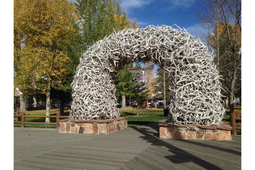 Antler Arch in Fall