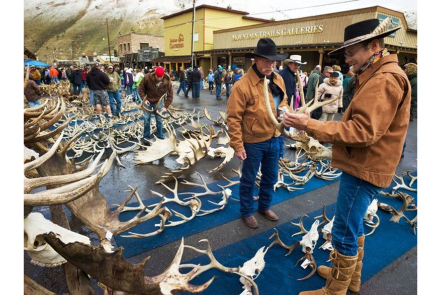 Elk Fest