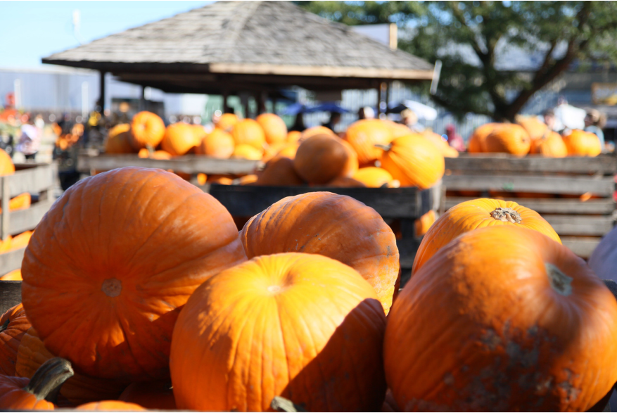 Jerry Smith Farm - Photo Archives