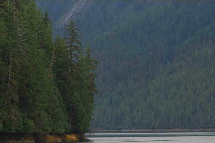 Floatplane takes off on the water