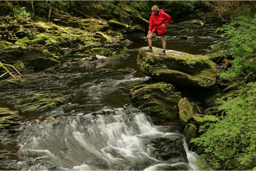 Lunch Creek trail near Settlers Cove State Park