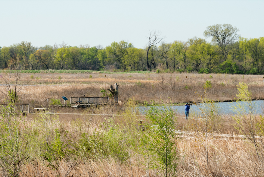 Baker Wetlands in Lawrence, Kansas