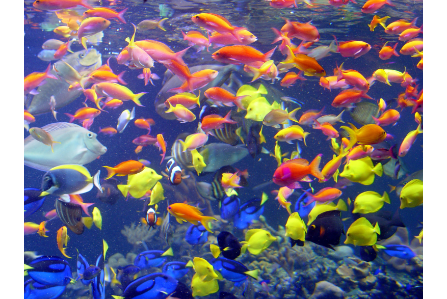 Long Island Aquarium credit KKMPhotos.jpg