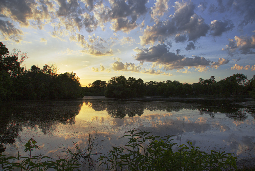 Washington Park - Sunset