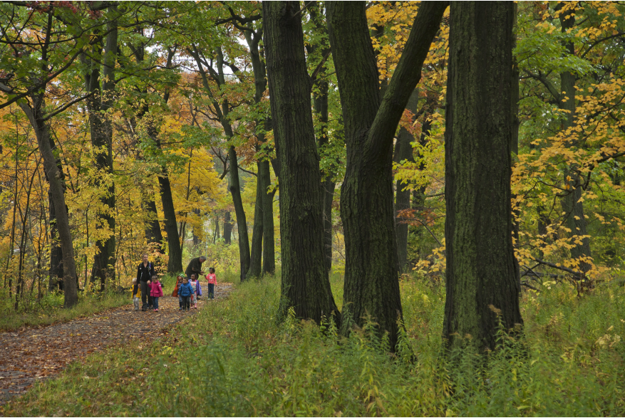 Riverside Park - Hiking