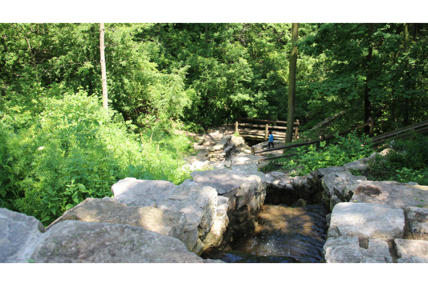 Lake Park - Hiking