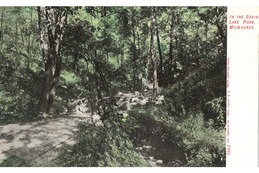 Lake Park Postcard - Ravine