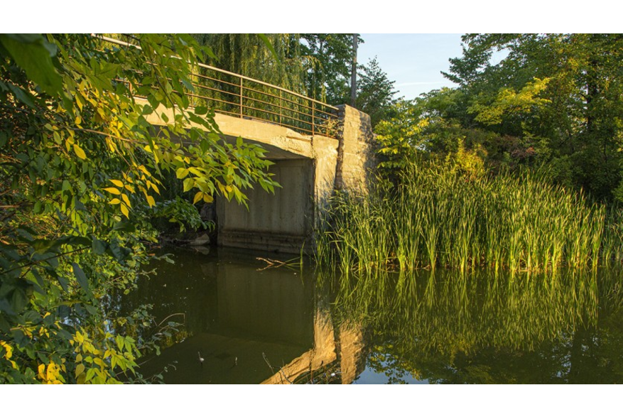 Washington Park - Bridge Over Lagoon