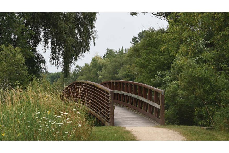 Riverside Park - Trail Bridge