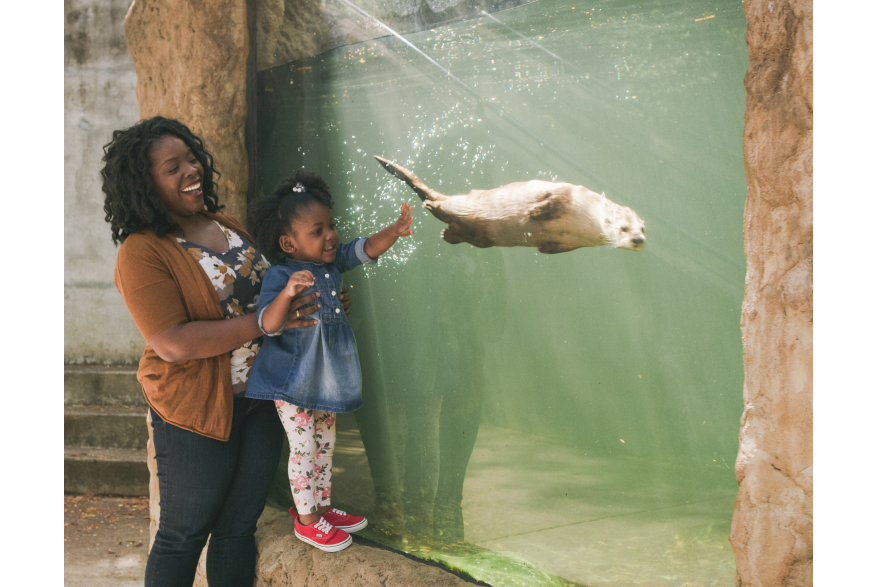 The Virginia Living Museum