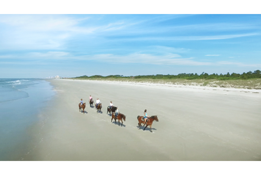 Inlet point horses still010 v lo res 450