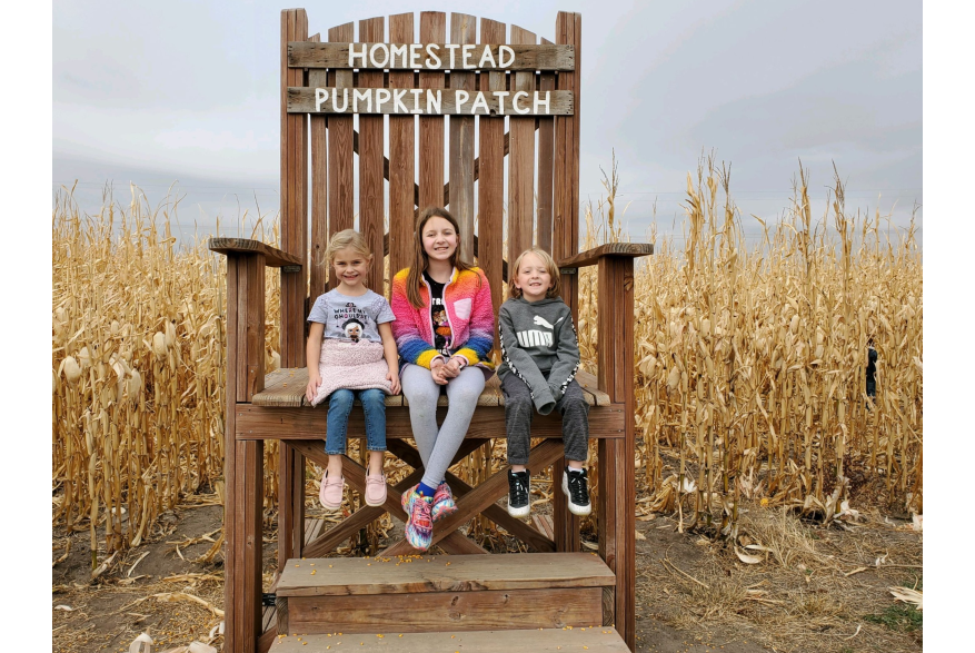 Homestead Pumpkin Patch