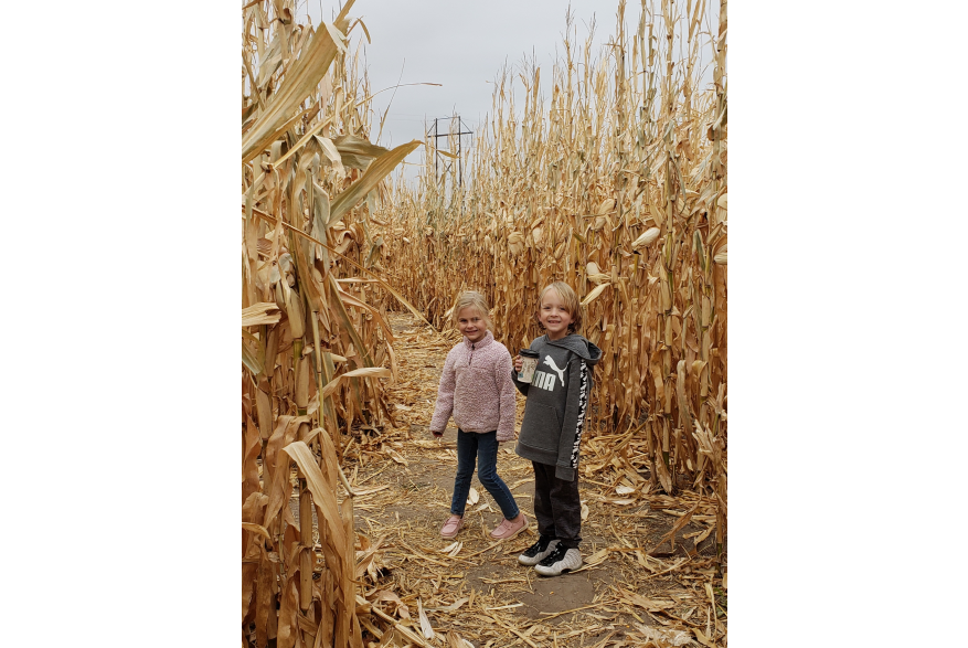 Homestead Pumpkin Patch