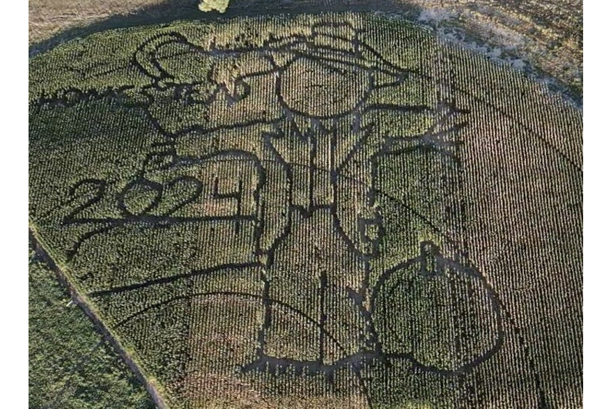 Homestead Pumpkin Patch Corn Maze 2024